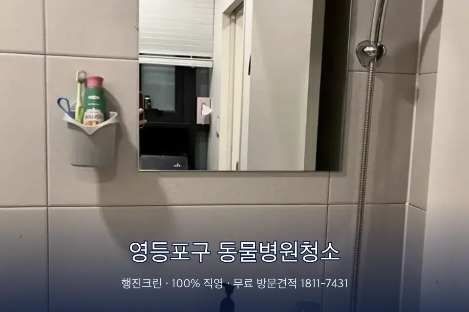 영등포구 동물병원청소 병원 화장실 세면대 살균