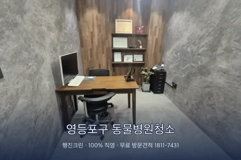 영등포구 동물병원청소 원장실 책상 주변 청소