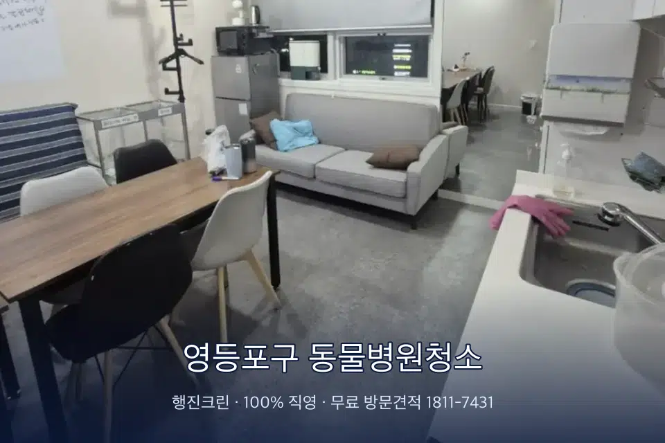 영등포구 동물병원청소 병원 휴게 공간 의자 소독